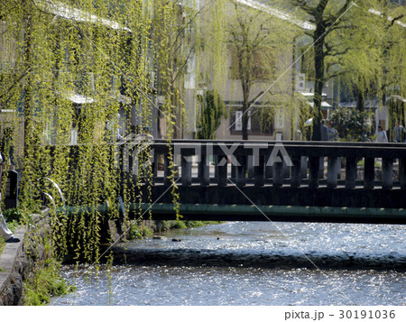 白川の風景 30191036