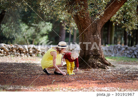 Female farmer and her little helper working in olive grove in Italy Female farmer and her little helper working in olive grove in Italy 30191967