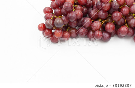 red grapes on a white background red grapes on a white background 30192807