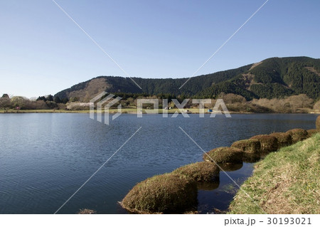 青空広がる田貫湖 30193021