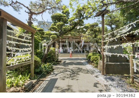 鳩森八幡神社 鳩森八幡神社 30194362
