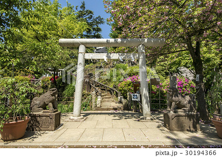 鳩森八幡神社 30194366