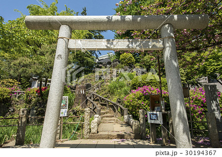 鳩森八幡神社 30194367