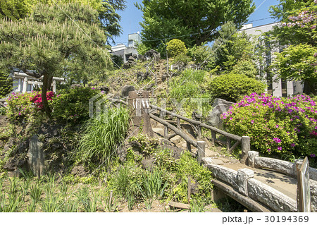 鳩森八幡神社 鳩森八幡神社 30194369