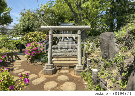 鳩森八幡神社 鳩森八幡神社 30194371
