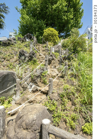 鳩森八幡神社 30194373