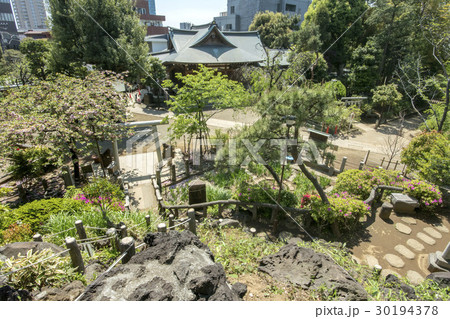 鳩森八幡神社 30194378