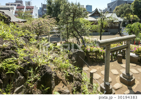 鳩森八幡神社 30194383