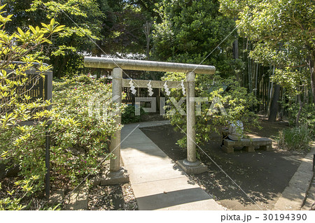 鳩森八幡神社 鳩森八幡神社 30194390