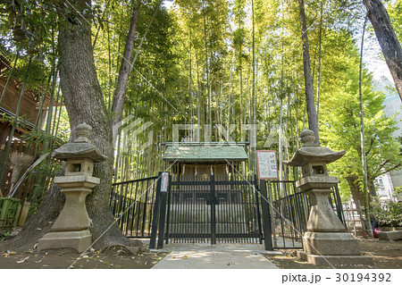 鳩森八幡神社 30194392
