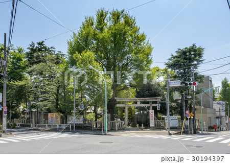 東京都渋谷区千駄ヶ谷の鳩森八幡神社 30194397