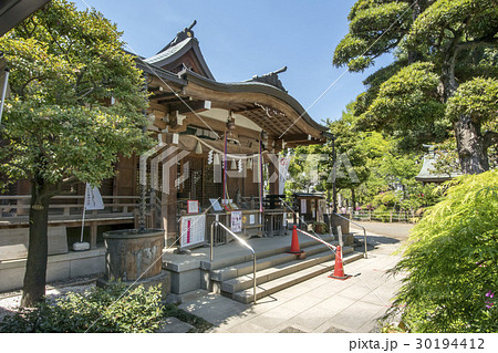 鳩森八幡神社 鳩森八幡神社 30194412