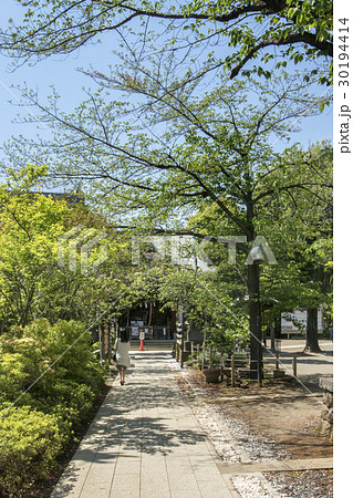 鳩森八幡神社 30194414