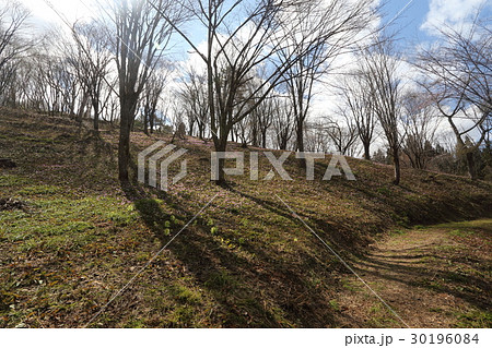 大林ふるさとの山 30196084