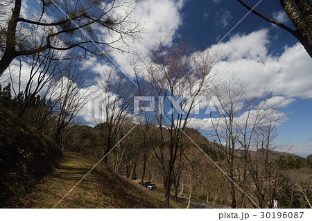 大林ふるさとの山 大林ふるさとの山 30196087
