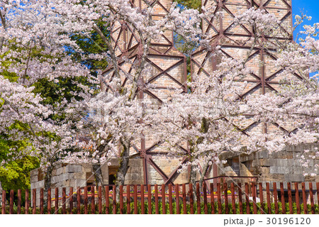 【静岡県】世界遺産、韮山反射炉、桜の季節 【静岡県】世界遺産、韮山反射炉、桜の季節 30196120
