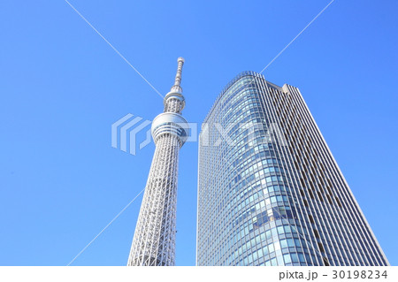 東京スカイツリー 【押上 ソラマチ】 東京スカイツリー 【押上 ソラマチ】 30198234