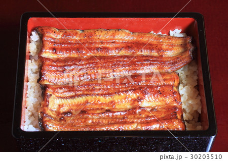 うなぎの蒲焼 30203510