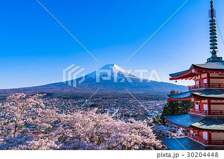 日本を象徴する風景【山梨県・新倉山浅間公園】 30204448