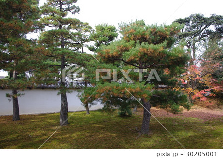 庭園（相国寺） 30205001