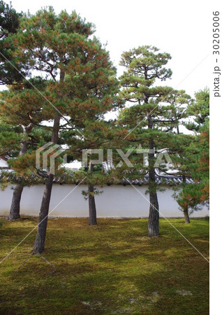 庭園（相国寺） 30205006