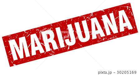 square grunge red marijuana stamp 30205169