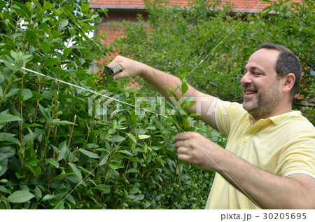 Cutting the Top of Hedge 30205695