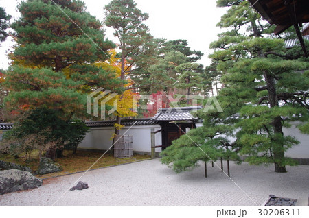 紅葉の石庭(相国寺) 紅葉の石庭(相国寺) 30206311