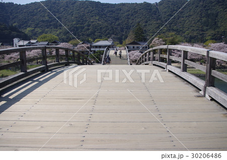 錦帯橋 30206486