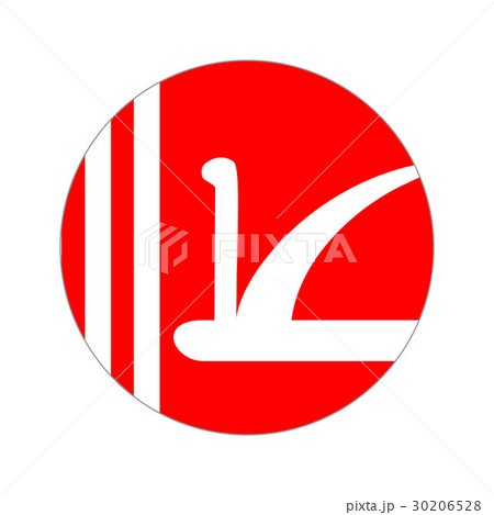 Circular world Flag 30206528