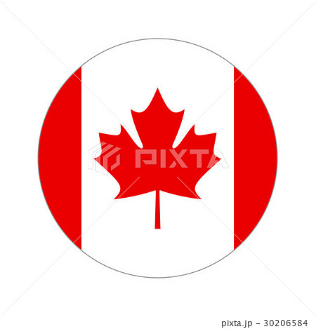 Circular world Flag 30206584