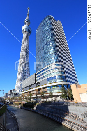 晴天下の東京スカイツリーとイーストタワー 30208559