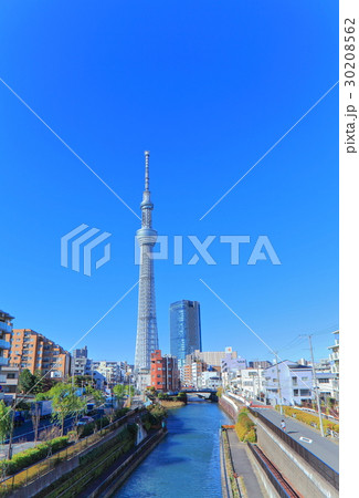 晴天下の東京スカイツリー 30208562