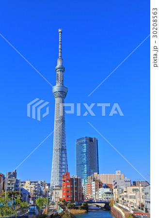 晴天下の東京スカイツリー 30208563