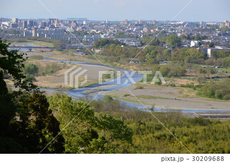 春の都立滝山城址公園はこんな感じ　八王子市 30209688