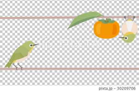 Mejiro and Kaki Japanese style Mejiro and Kaki Japanese style 30209706