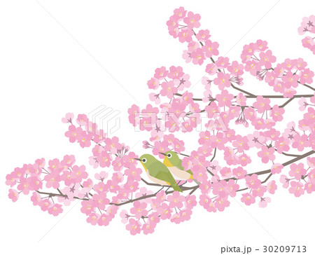 Print Print 30209713