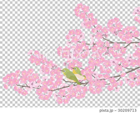 Print Print 30209713