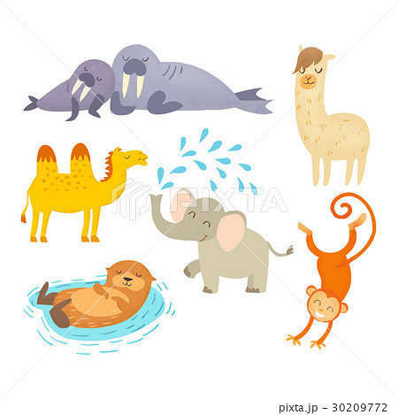動物 30209772
