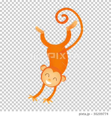 猿 30209774