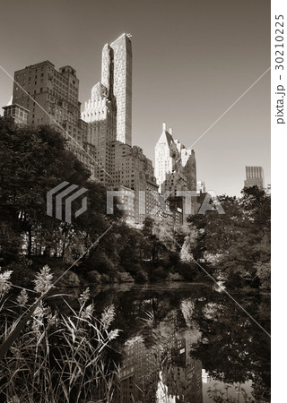 Central Park Autumn 30210225