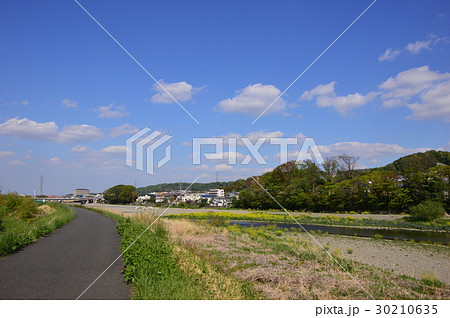 春の多摩丘陵浅川はこんな感じ 八王子市 春の多摩丘陵浅川はこんな感じ 八王子市 30210635