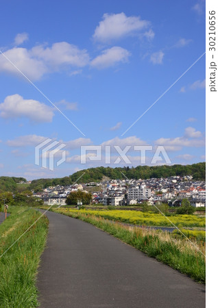 春の多摩丘陵浅川はこんな感じ 八王子市 春の多摩丘陵浅川はこんな感じ 八王子市 30210656