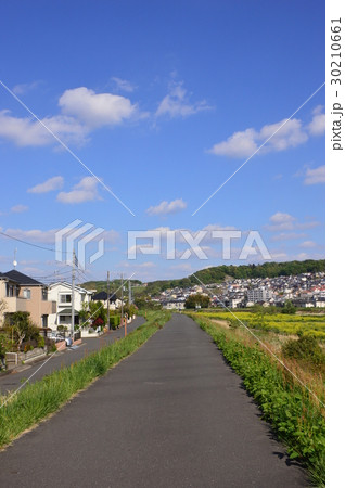 春の多摩丘陵浅川はこんな感じ 八王子市 春の多摩丘陵浅川はこんな感じ 八王子市 30210661