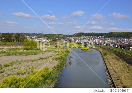 春の多摩丘陵浅川はこんな感じ　八王子市 30210667