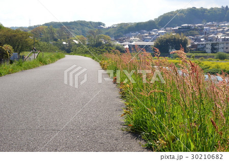 春の多摩丘陵浅川はこんな感じ 八王子市 春の多摩丘陵浅川はこんな感じ 八王子市 30210682