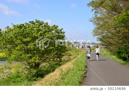 春の多摩丘陵浅川はこんな感じ 八王子市 春の多摩丘陵浅川はこんな感じ 八王子市 30210686