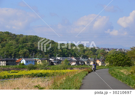 春の多摩丘陵浅川はこんな感じ 八王子市 春の多摩丘陵浅川はこんな感じ 八王子市 30210697