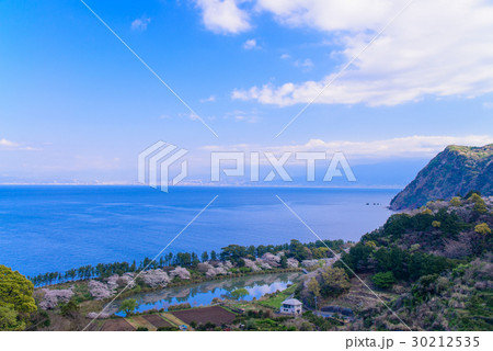 【静岡県沼津市】井田の海岸線と明神池、後方に富士山 30212535