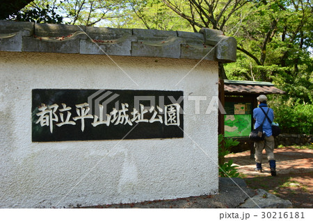 春爛漫の都立平山城址公園 八王子市 春爛漫の都立平山城址公園 八王子市 30216181